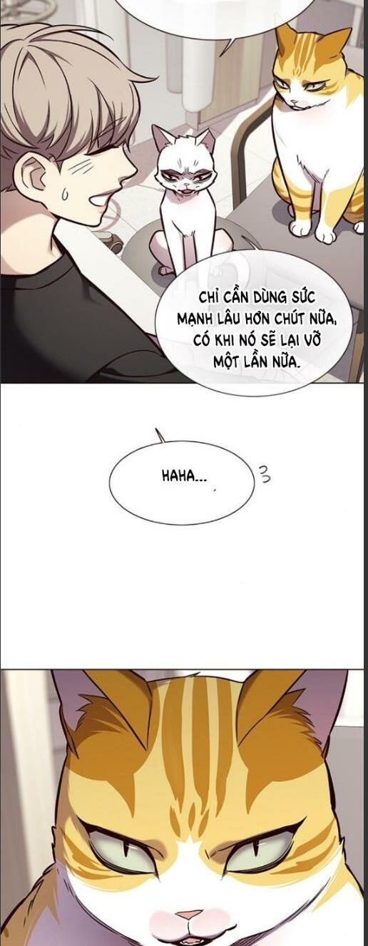 Hoá Thân Thành Mèo: Chapter 160