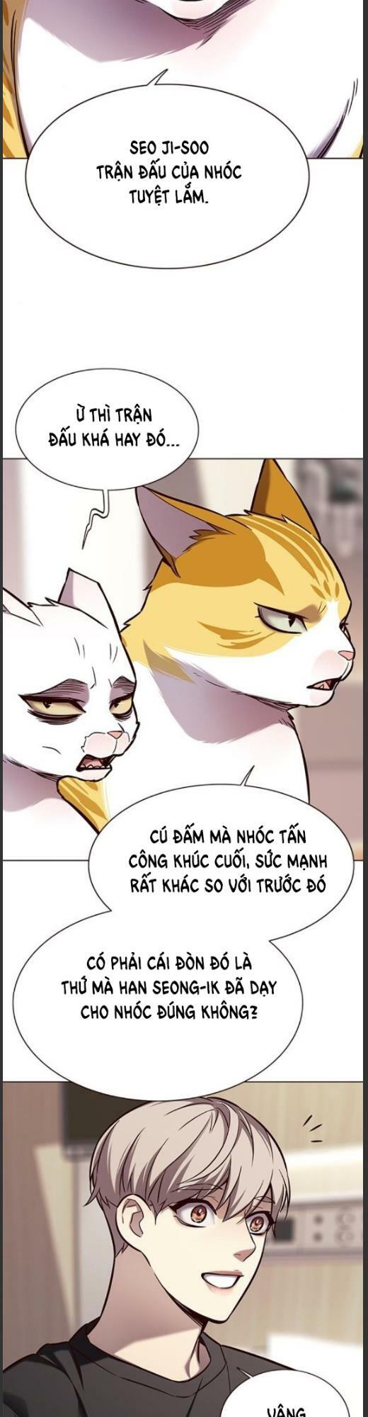 Hoá Thân Thành Mèo: Chapter 160
