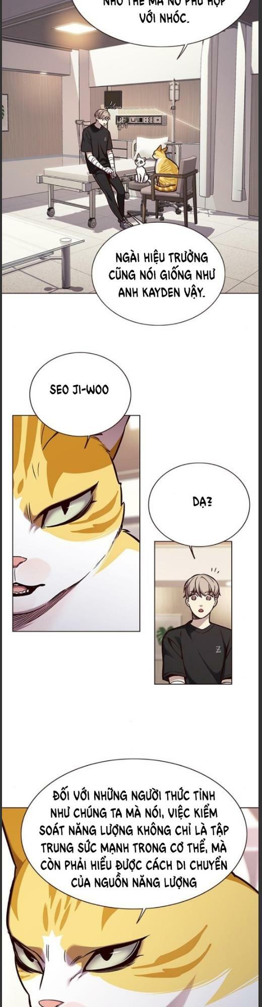 Hoá Thân Thành Mèo: Chapter 160