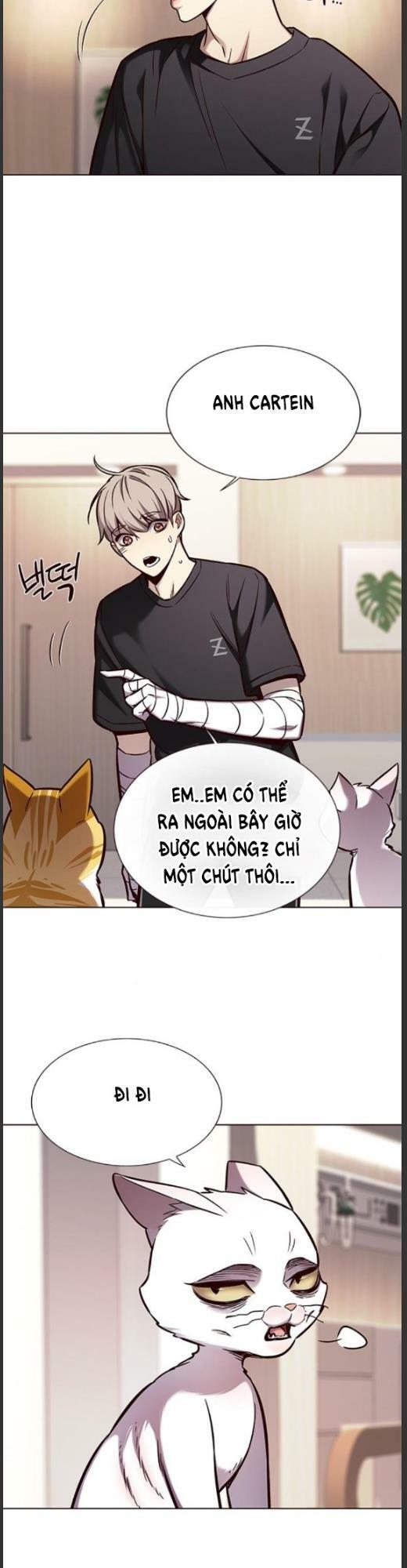 Hoá Thân Thành Mèo: Chapter 160