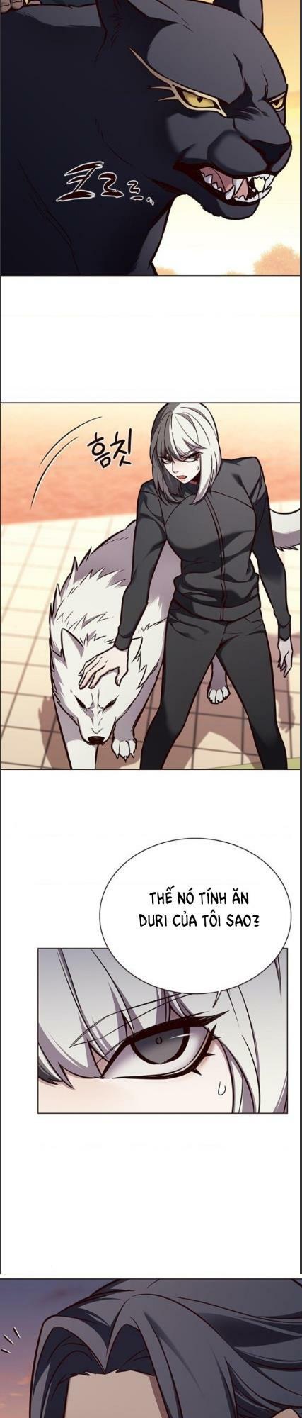 Hoá Thân Thành Mèo: Chapter 161