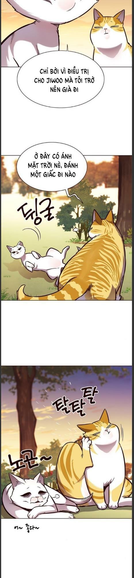 Hoá Thân Thành Mèo: Chapter 161