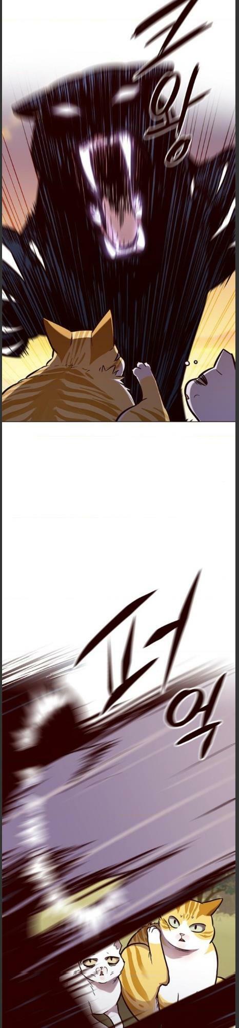 Hoá Thân Thành Mèo: Chapter 161