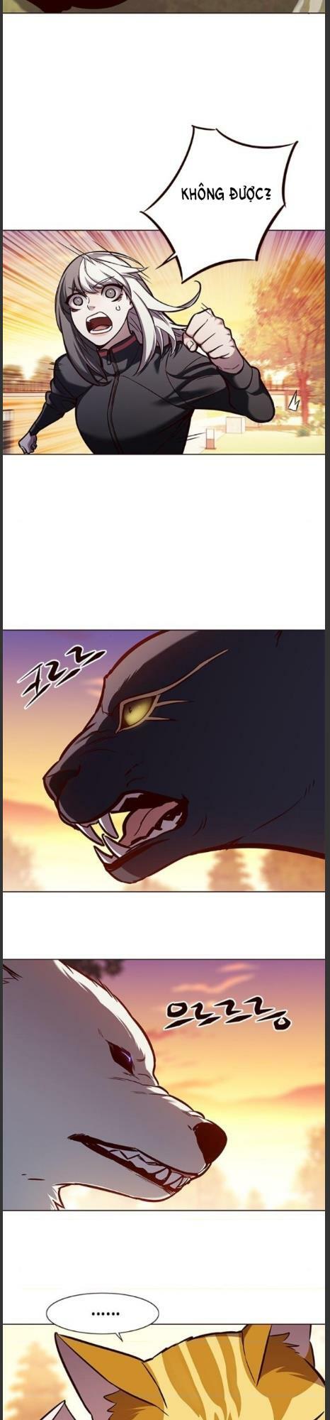 Hoá Thân Thành Mèo: Chapter 161