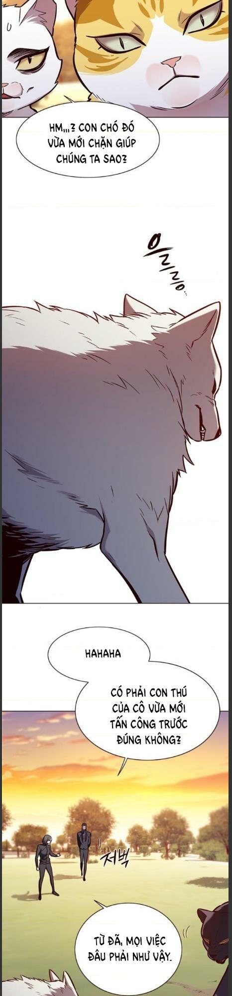 Hoá Thân Thành Mèo: Chapter 161