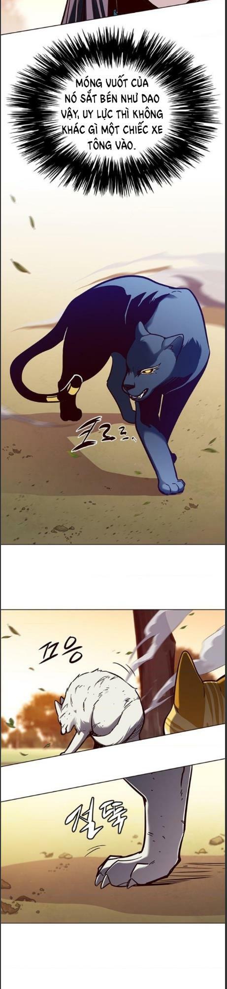 Hoá Thân Thành Mèo: Chapter 161