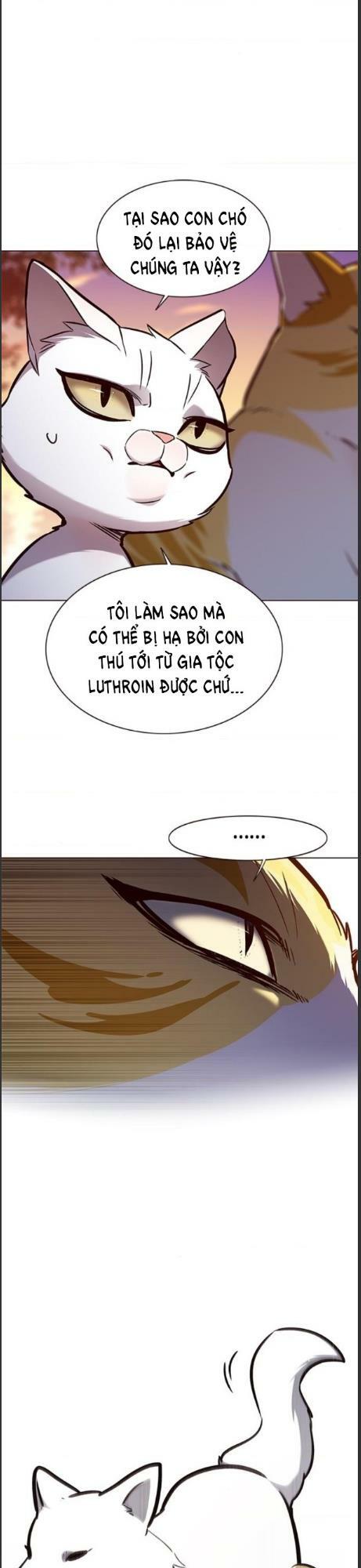 Hoá Thân Thành Mèo: Chapter 161