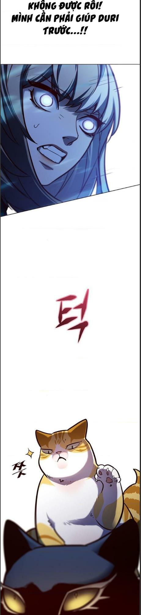 Hoá Thân Thành Mèo: Chapter 161