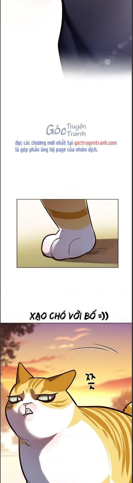 Hoá Thân Thành Mèo: Chapter 161