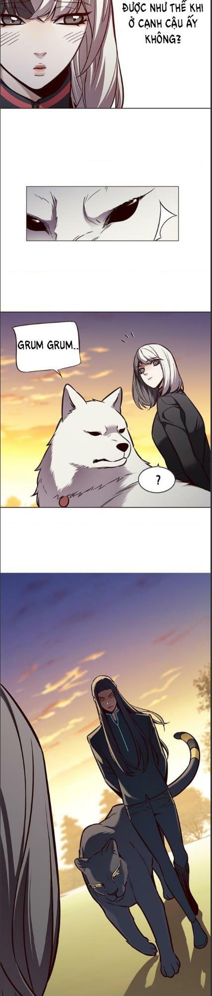 Hoá Thân Thành Mèo: Chapter 161
