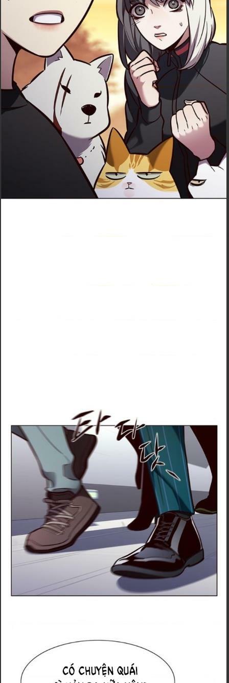 Hoá Thân Thành Mèo: Chapter 162