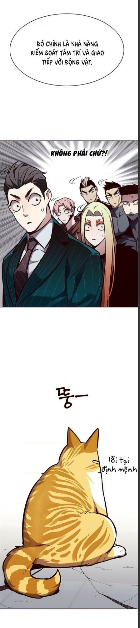 Hoá Thân Thành Mèo: Chapter 162