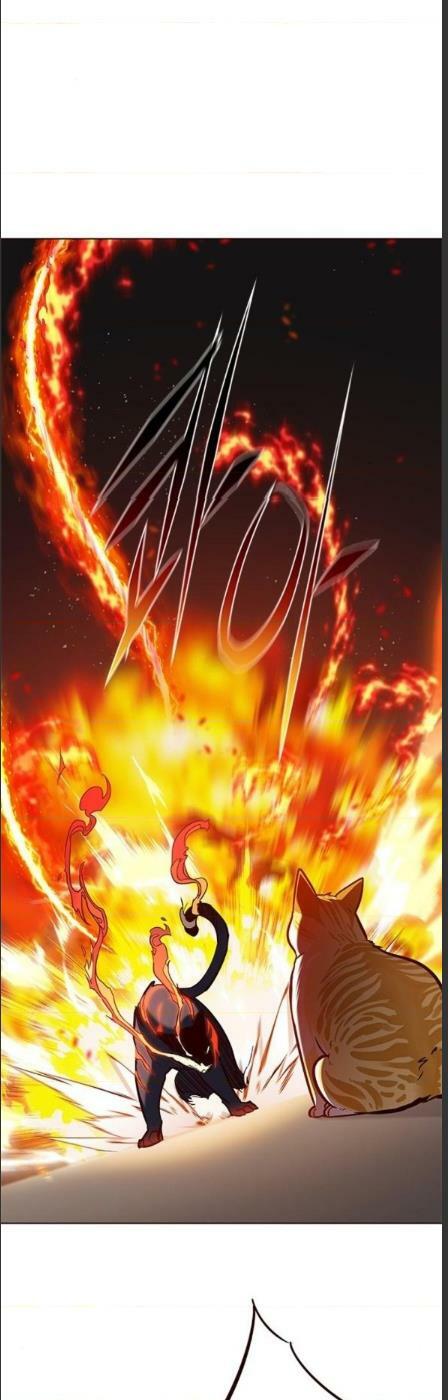 Hoá Thân Thành Mèo: Chapter 162