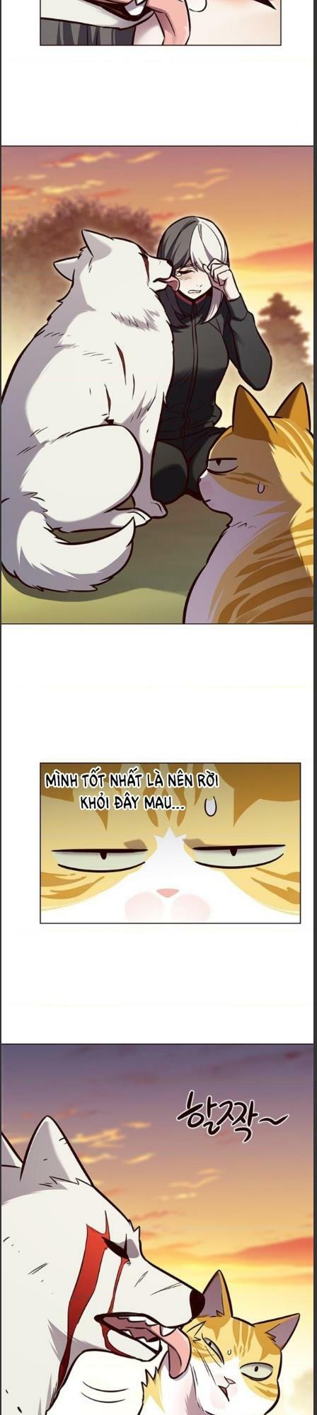 Hoá Thân Thành Mèo: Chapter 162