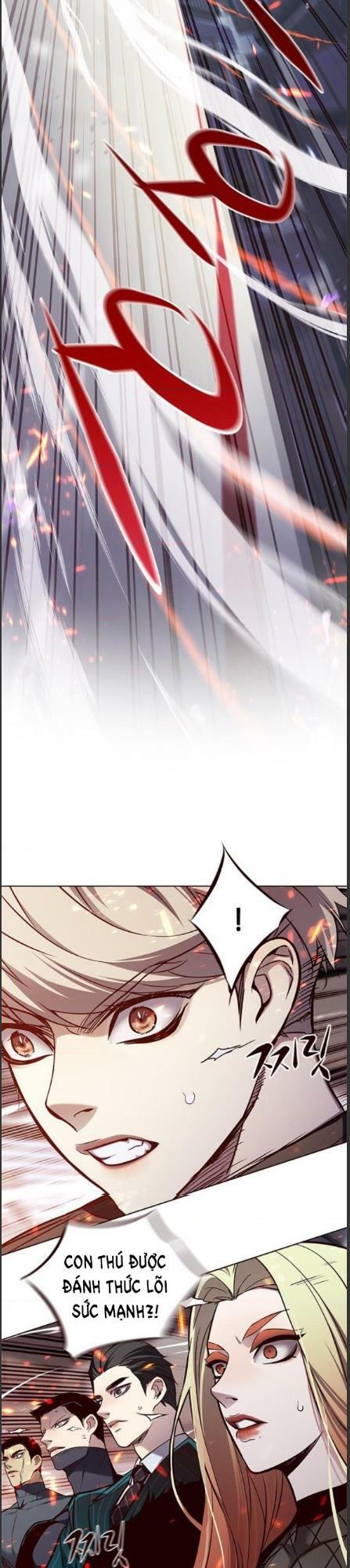 Hoá Thân Thành Mèo: Chapter 162