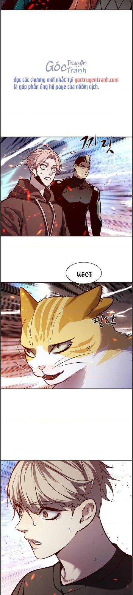 Hoá Thân Thành Mèo: Chapter 162