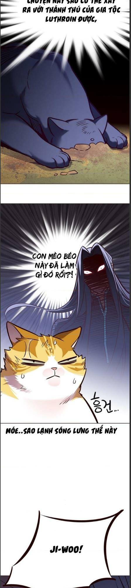 Hoá Thân Thành Mèo: Chapter 162