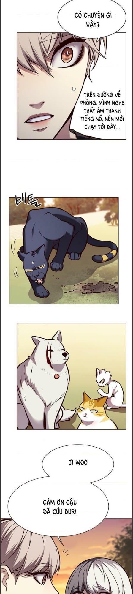 Hoá Thân Thành Mèo: Chapter 162
