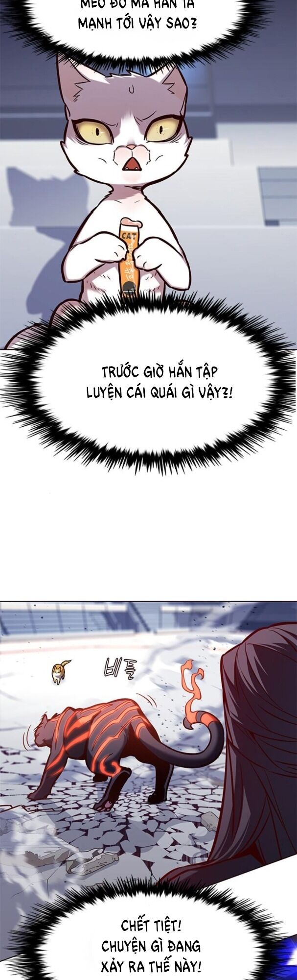 Hoá Thân Thành Mèo: Chapter 163