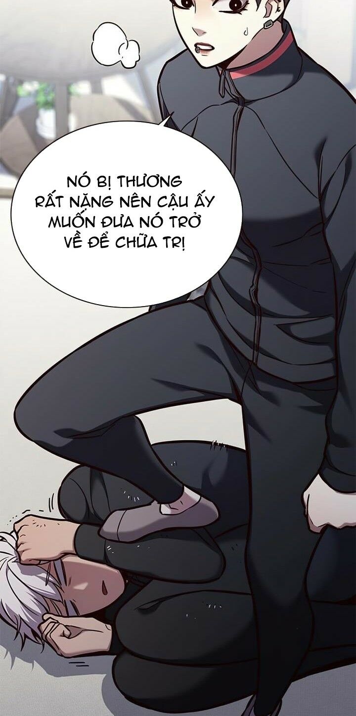 Hoá Thân Thành Mèo: Chapter 165