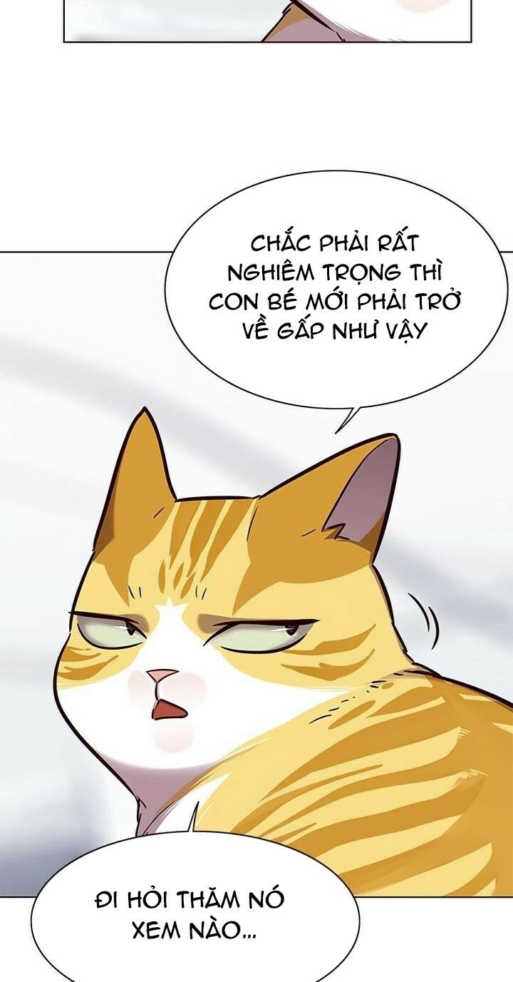 Hoá Thân Thành Mèo: Chapter 165