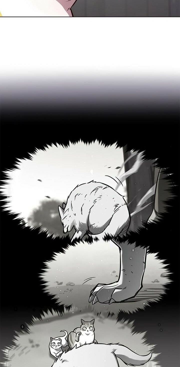 Hoá Thân Thành Mèo: Chapter 165
