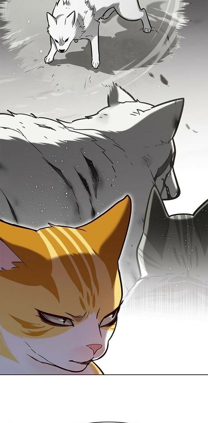 Hoá Thân Thành Mèo: Chapter 165