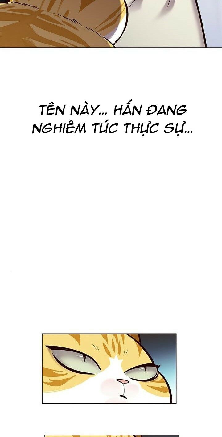 Hoá Thân Thành Mèo: Chapter 165