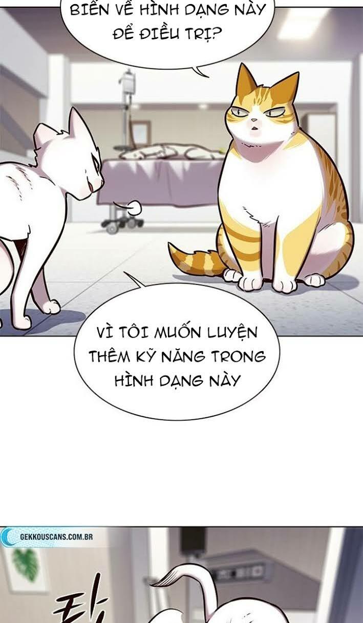 Hoá Thân Thành Mèo: Chapter 166