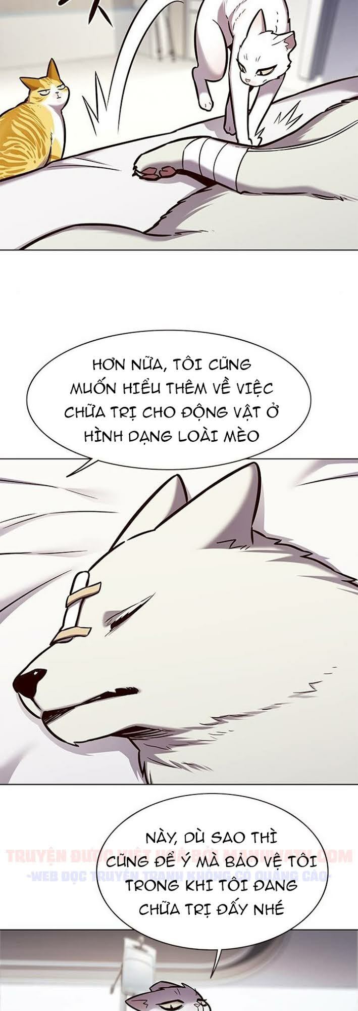 Hoá Thân Thành Mèo: Chapter 166