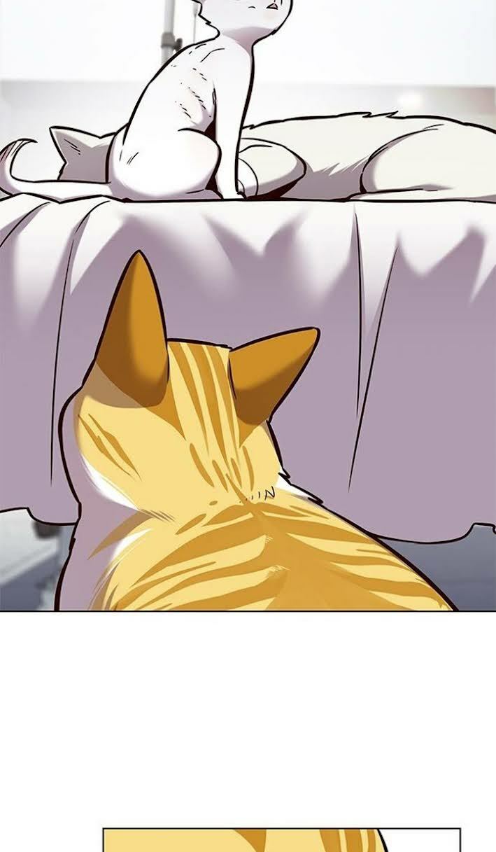 Hoá Thân Thành Mèo: Chapter 166