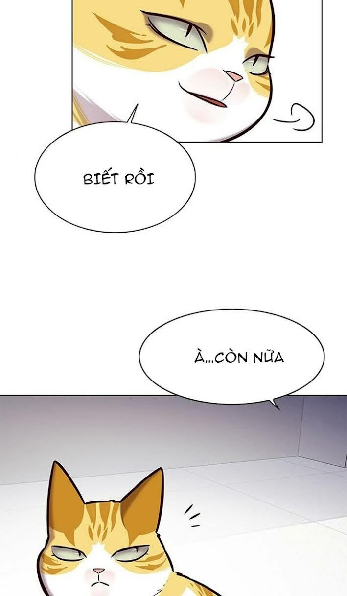 Hoá Thân Thành Mèo: Chapter 166