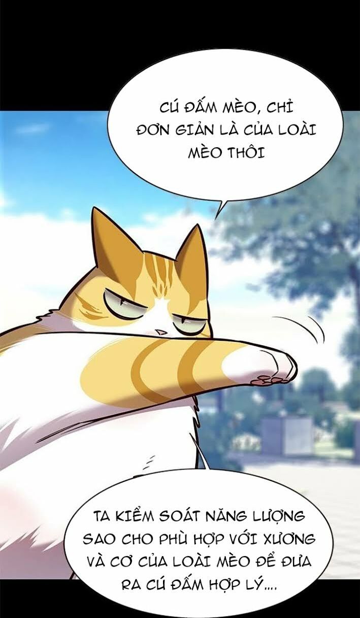 Hoá Thân Thành Mèo: Chapter 166
