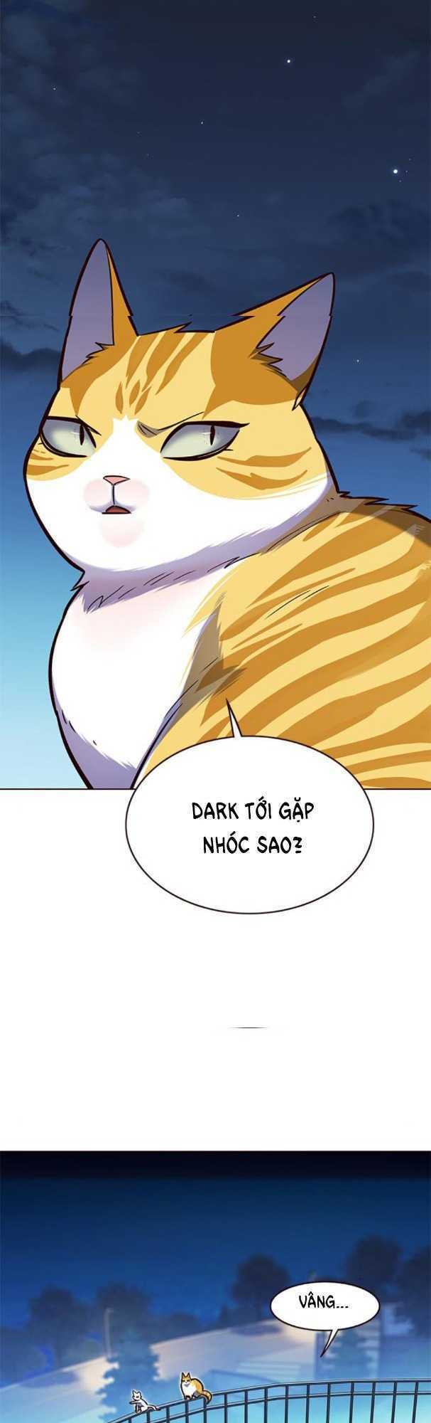 Hoá Thân Thành Mèo: Chapter 169