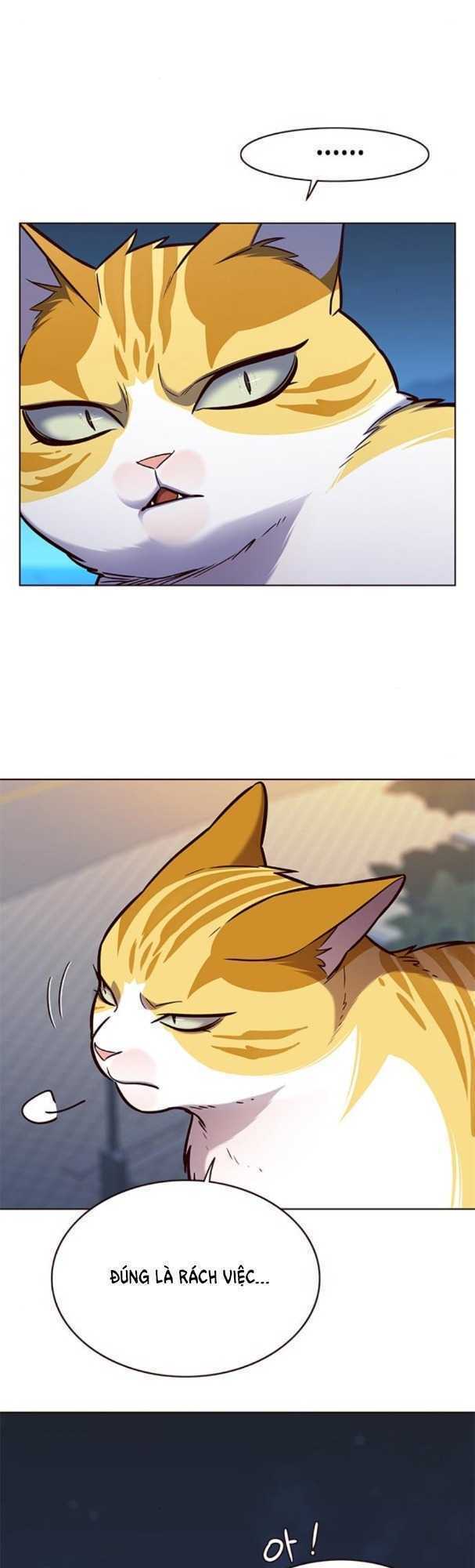 Hoá Thân Thành Mèo: Chapter 169