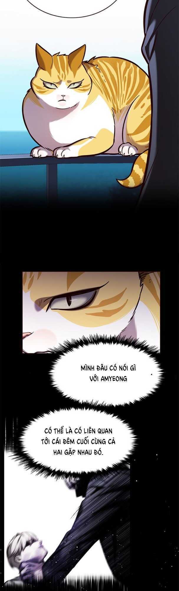 Hoá Thân Thành Mèo: Chapter 169