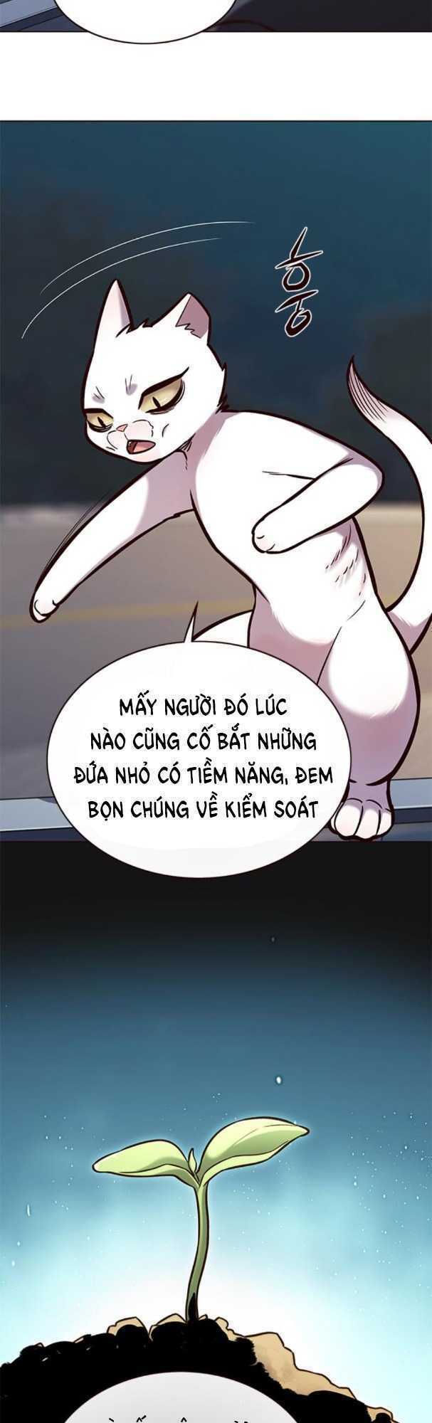 Hoá Thân Thành Mèo: Chapter 169