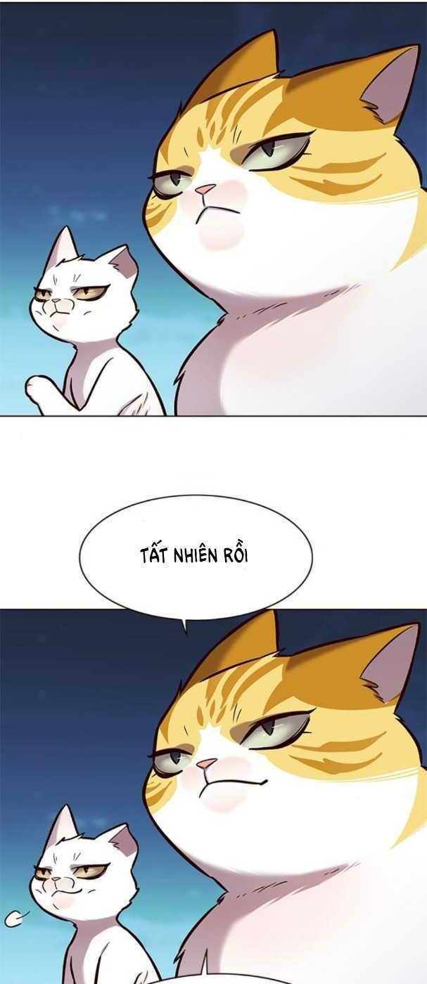 Hoá Thân Thành Mèo: Chapter 169
