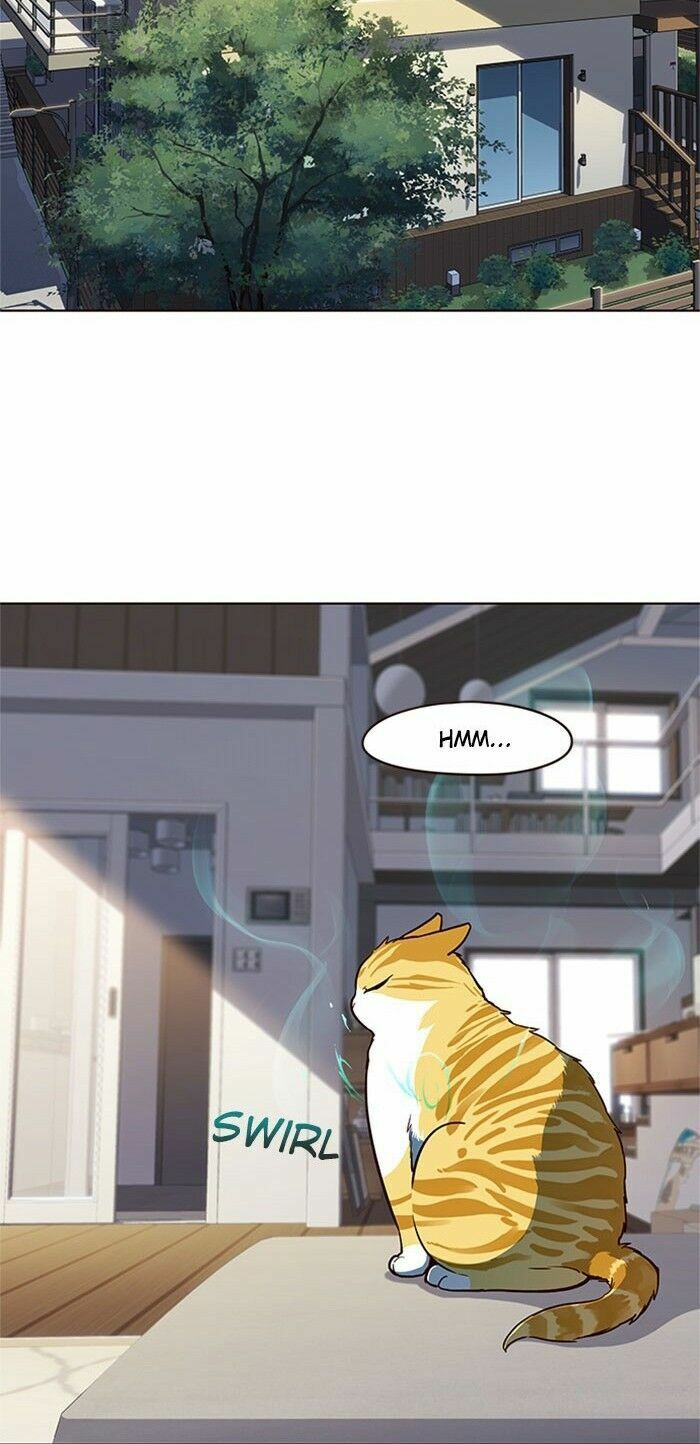 Hoá Thân Thành Mèo: Chapter 17