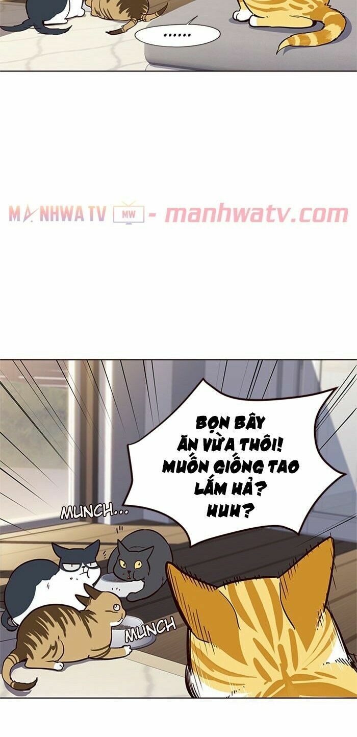 Hoá Thân Thành Mèo: Chapter 17