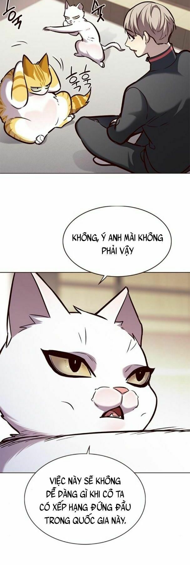 Hoá Thân Thành Mèo: Chapter 170