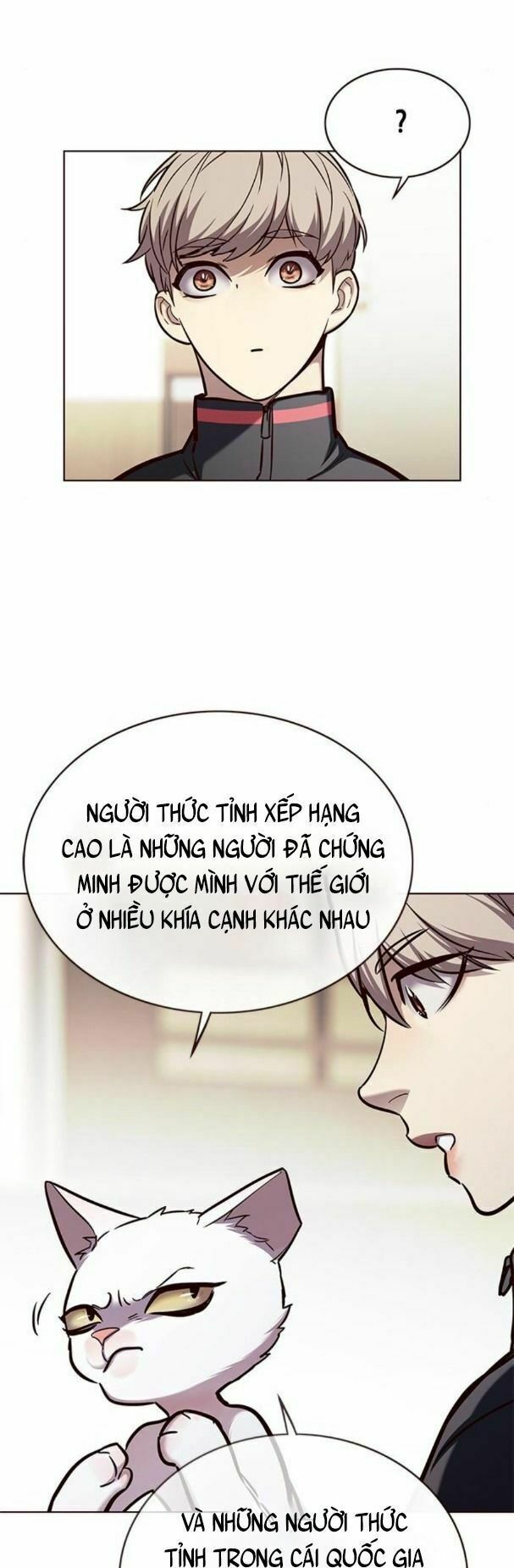 Hoá Thân Thành Mèo: Chapter 170