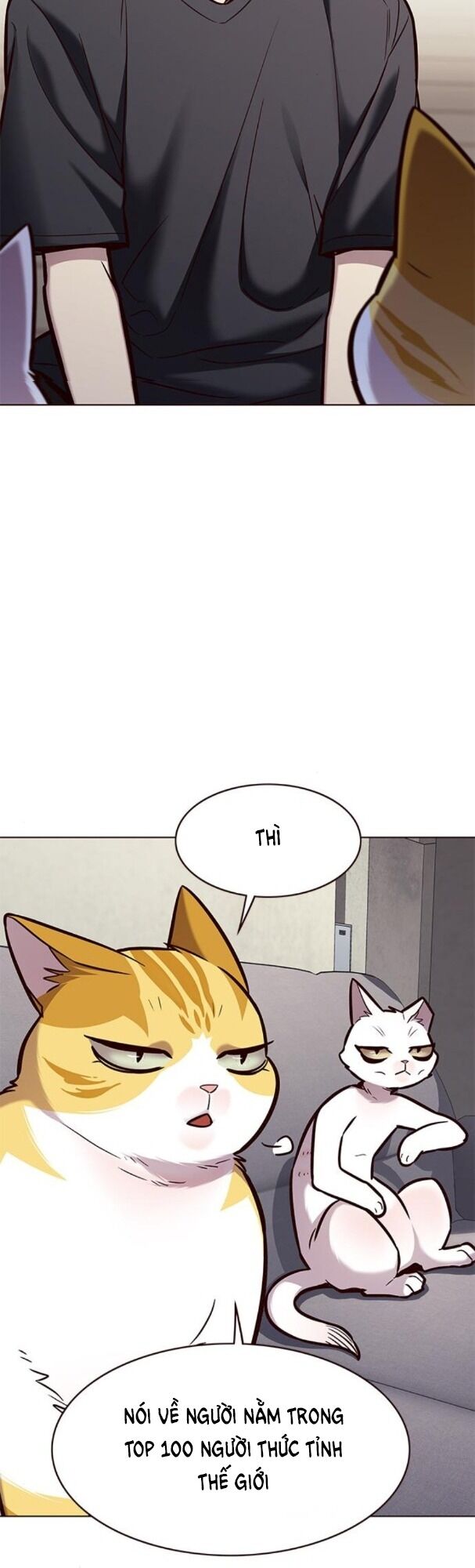 Hoá Thân Thành Mèo: Chapter 173