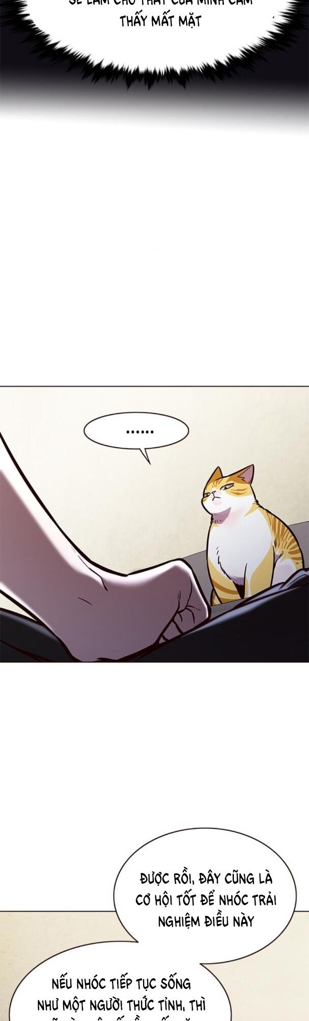 Hoá Thân Thành Mèo: Chapter 173