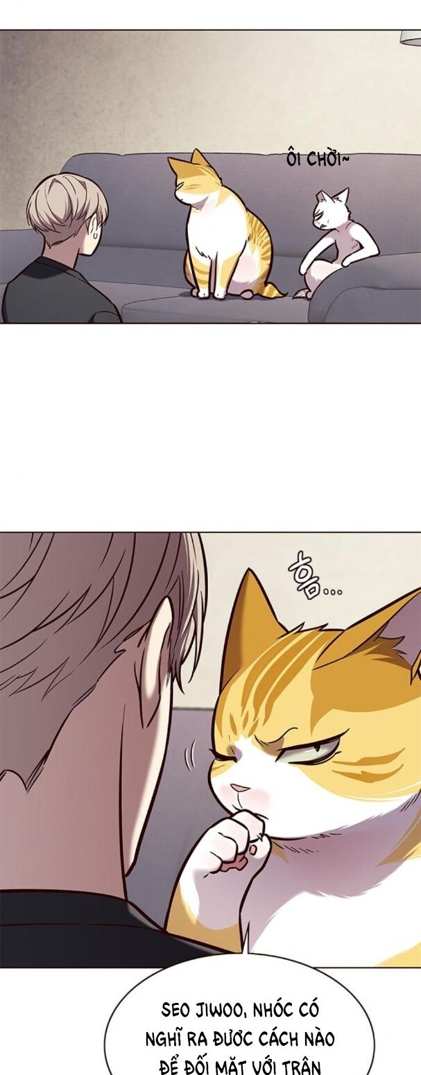 Hoá Thân Thành Mèo: Chapter 173