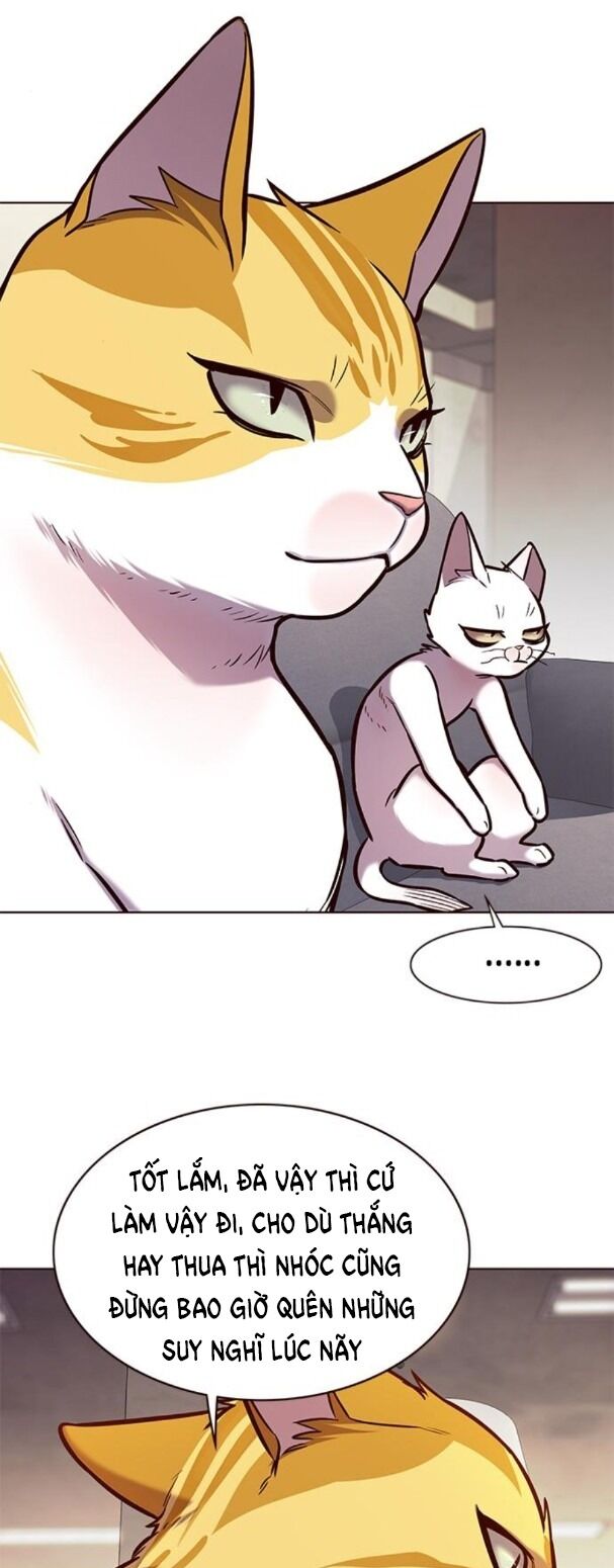 Hoá Thân Thành Mèo: Chapter 173