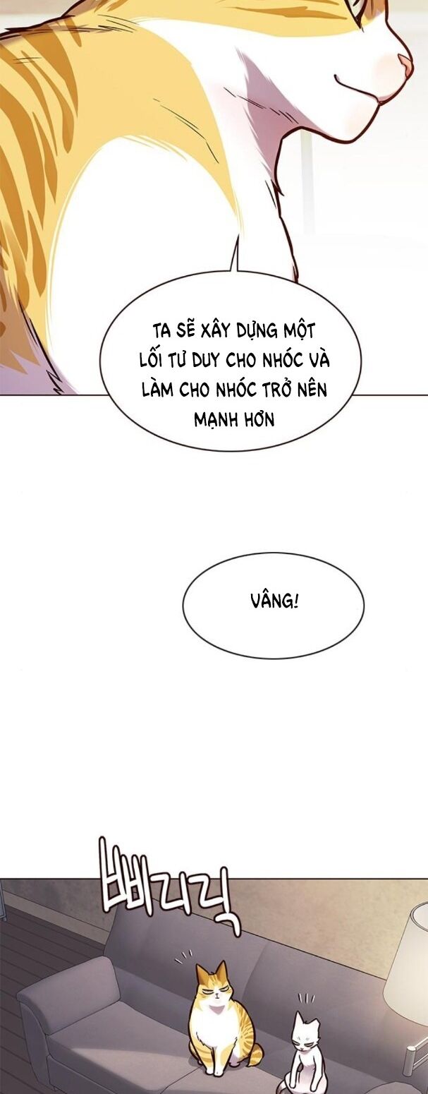 Hoá Thân Thành Mèo: Chapter 173