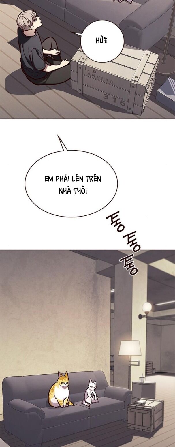 Hoá Thân Thành Mèo: Chapter 173