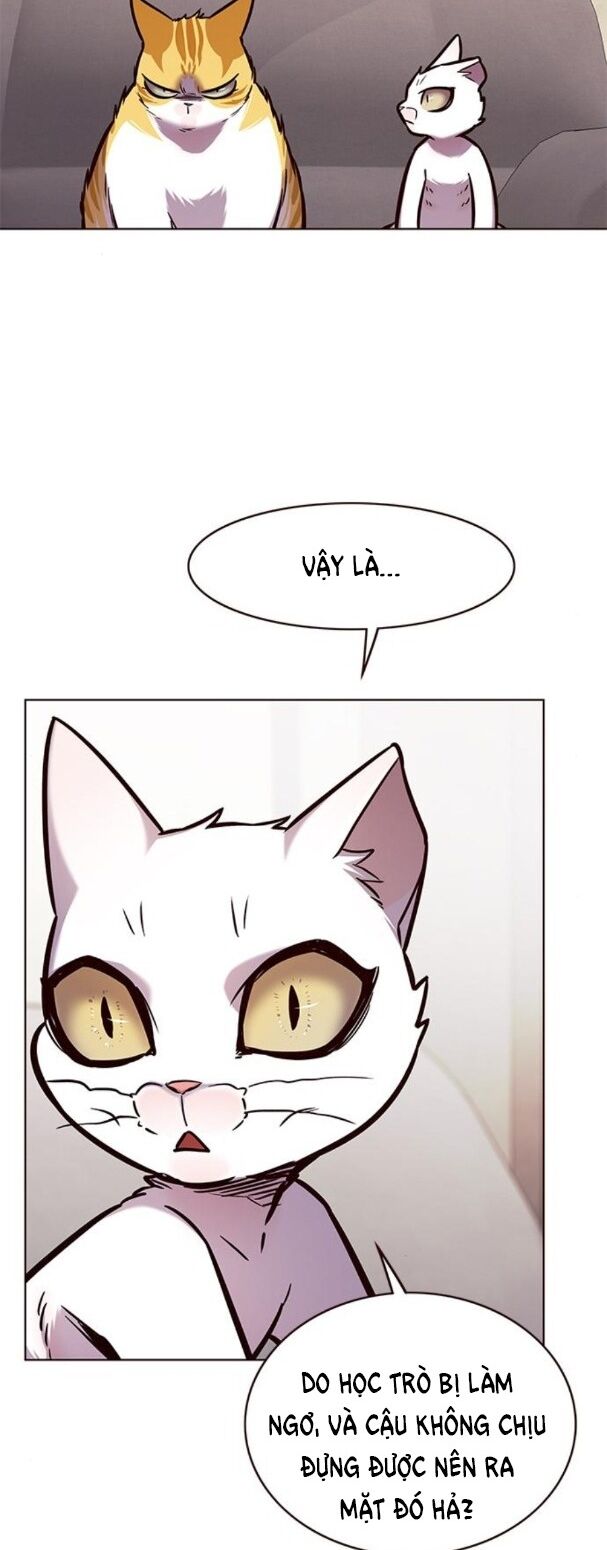 Hoá Thân Thành Mèo: Chapter 173