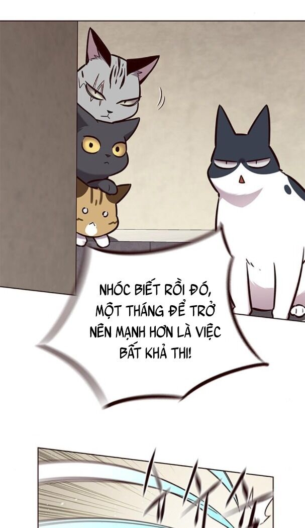 Hoá Thân Thành Mèo: Chapter 174